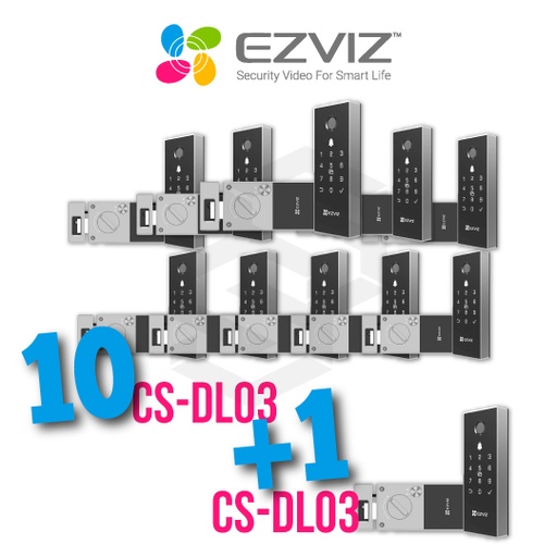 [COMBO-CS2] 11 CS-DL03-R100-WBCP-GR